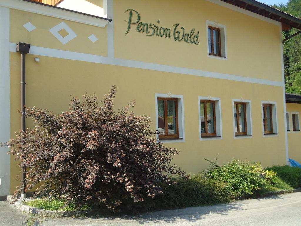 Pension Wald Faistenau Exterior photo